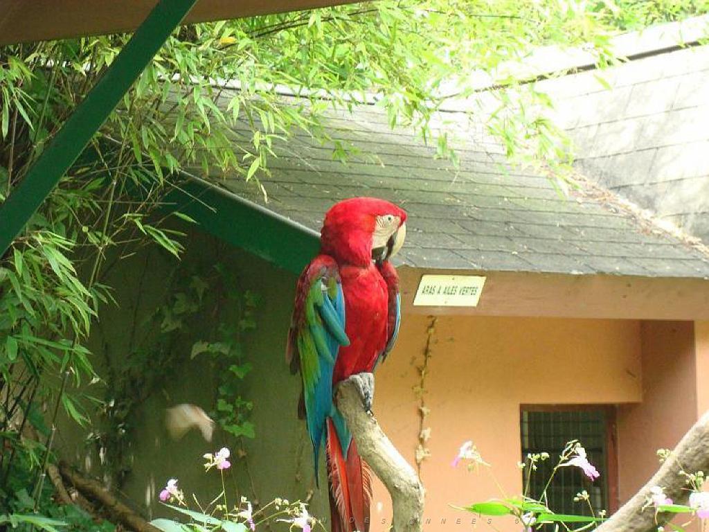 149 BIO PARC DE DOUE LA FONTAINE 4- 2016_000036.jpg